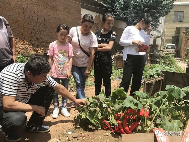 禾荞村惊现"瓜龙"?祥云农业科技人员来解密!